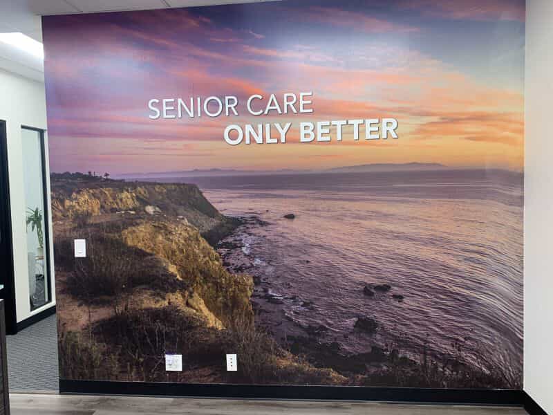 Window & Wall Graphics